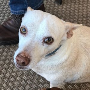 Meet your Posher, Alana